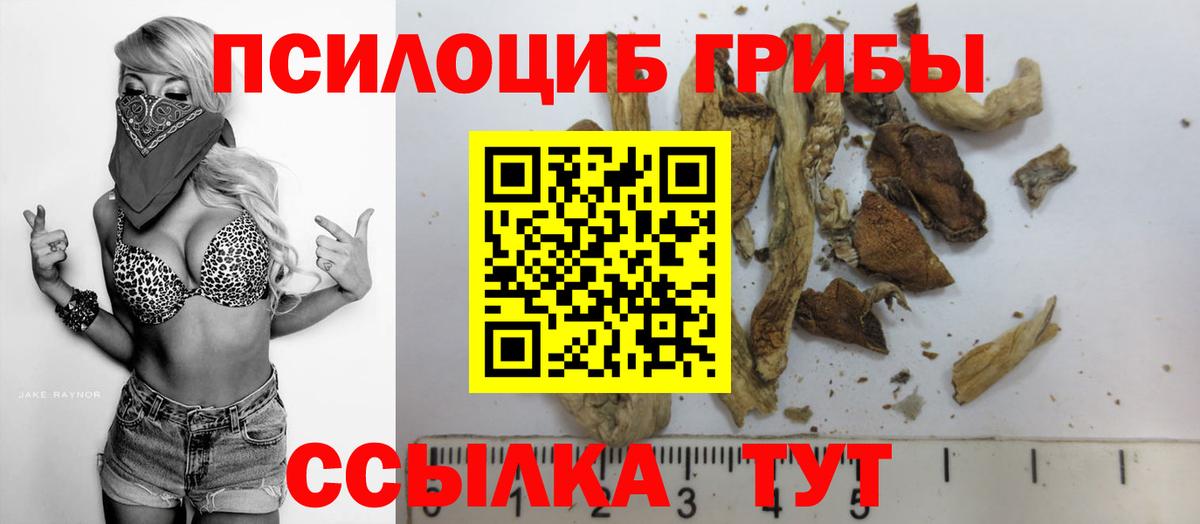 Галлюциногенные грибы Cubensis Тимашёвск