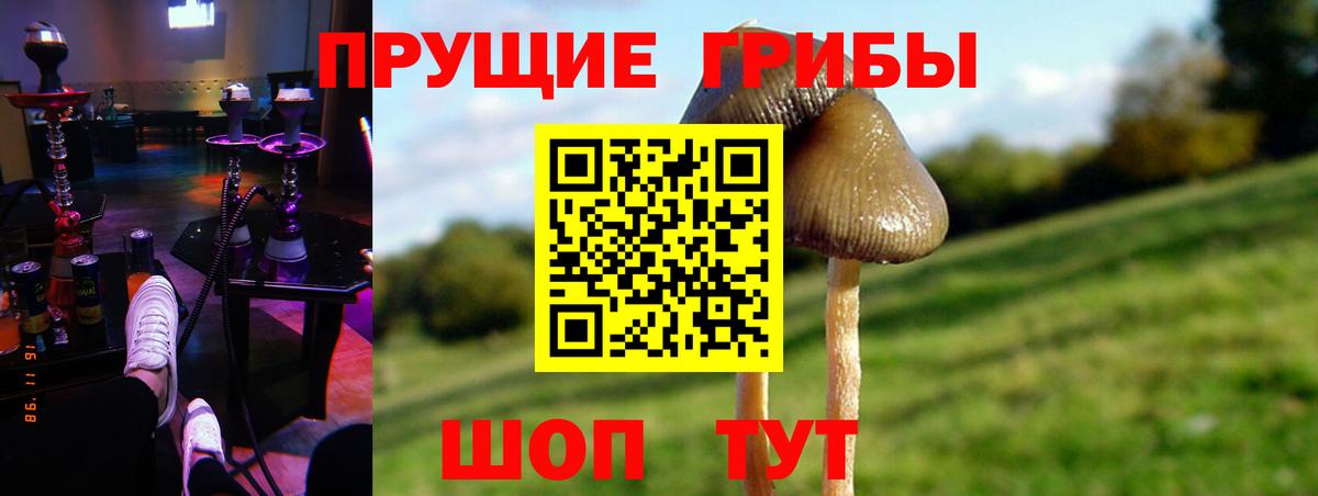 Тимашёвск  цены наркотик  Вход с VPN  Псилоцибиновые грибы Psilocybe  Псилоцибиновые грибы Magic Shrooms 